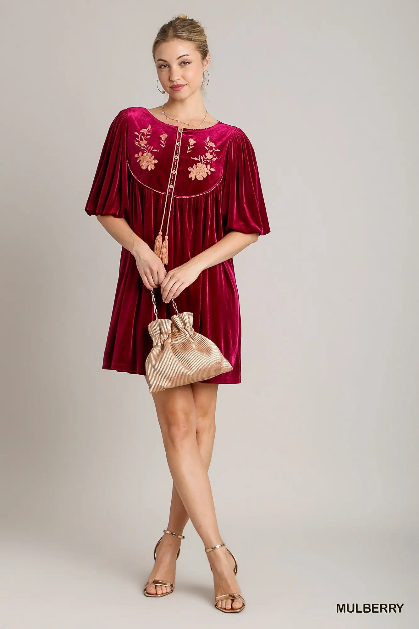 Mulberry Embroidered Velvet Dress - shopminnoe