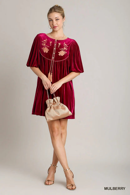 Mulberry Embroidered Velvet Dress - shopminnoe
