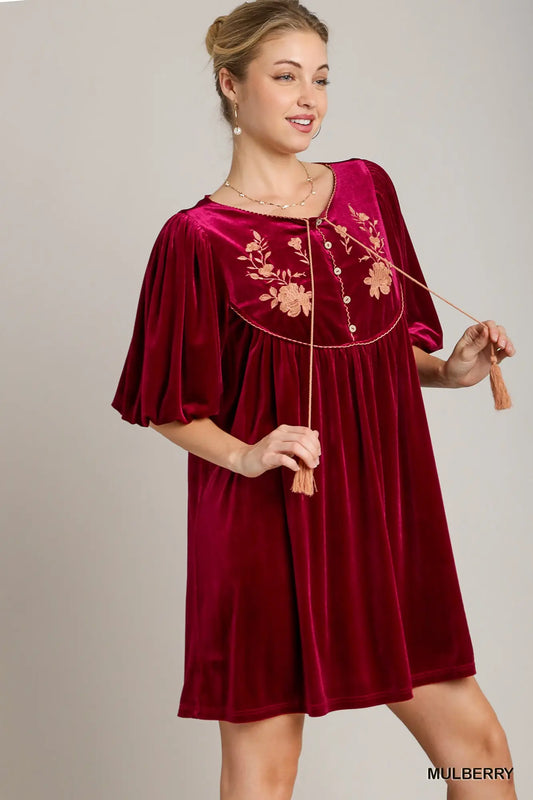 Mulberry Embroidered Velvet Dress - shopminnoe