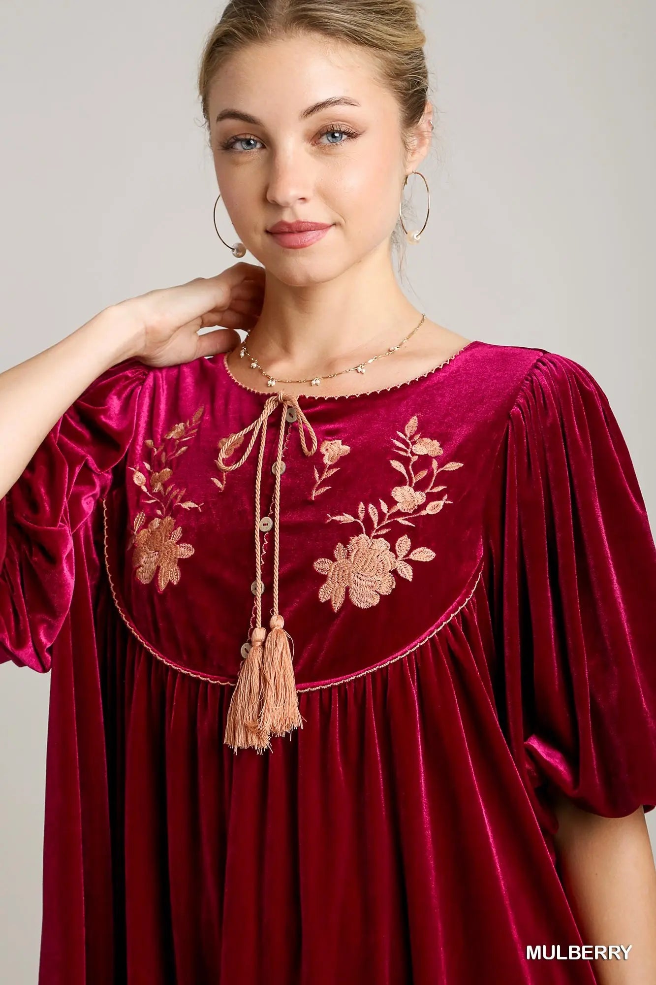 Mulberry Embroidered Velvet Dress - shopminnoe